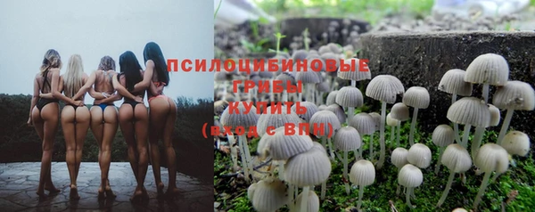 PSILOCYBIN Алексеевка