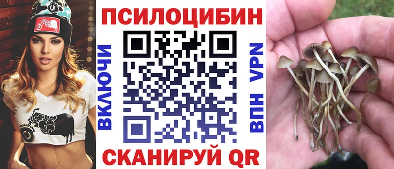 Галлюциногенные грибы Cubensis  Михайловск 