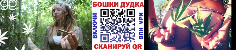 как найти наркотики  Михайловск  блэк спрут ТОР  Каннабис семена 